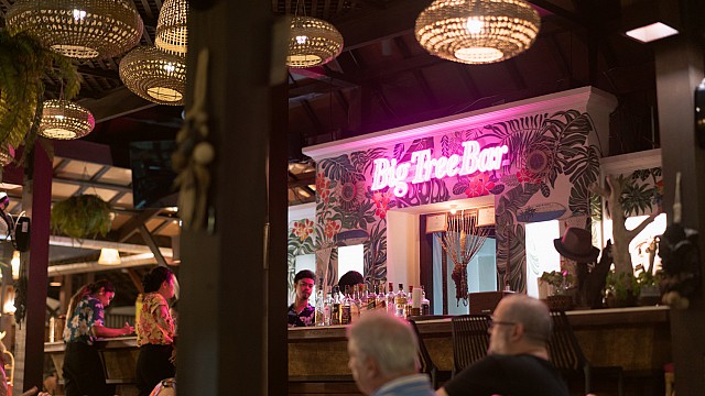 Big Tree Bar