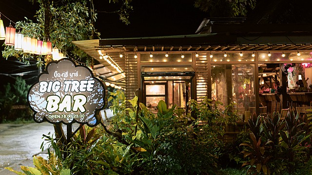 Big Tree Bar